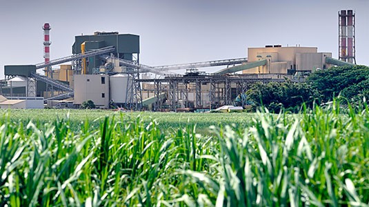 Case Studies for Other Industries