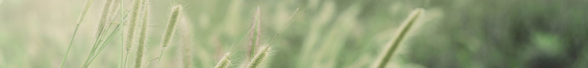 Sustentabilidad y ESG de Tennant Company - Personas prósperas, planeta saludable