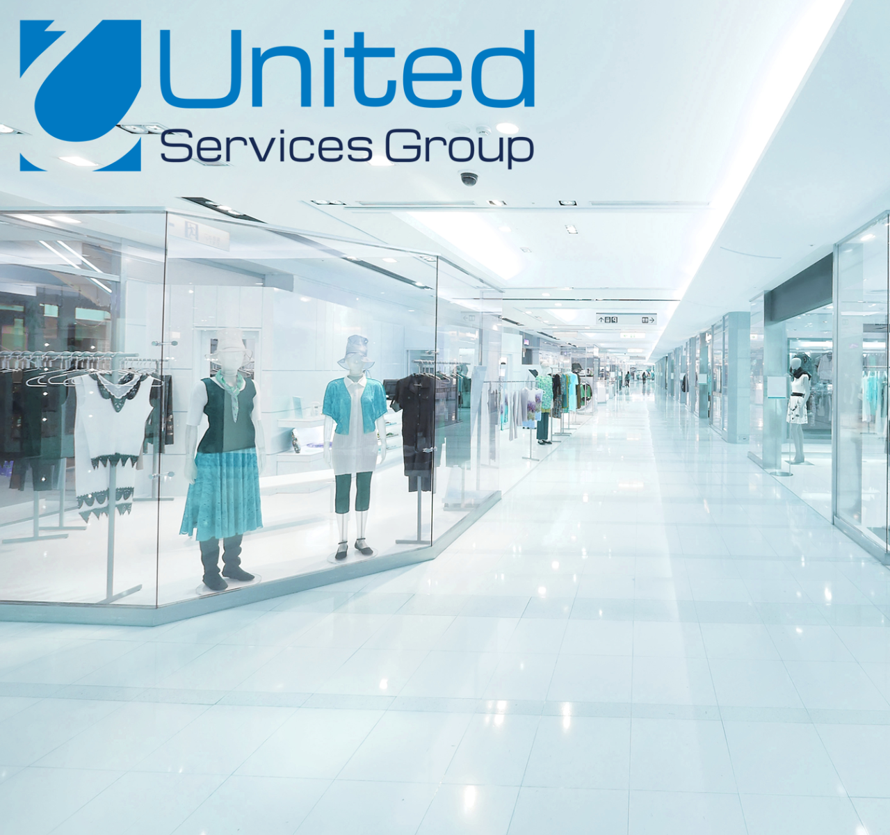 United Services Group IRIS Case Study United Services Group IRIS Case Study